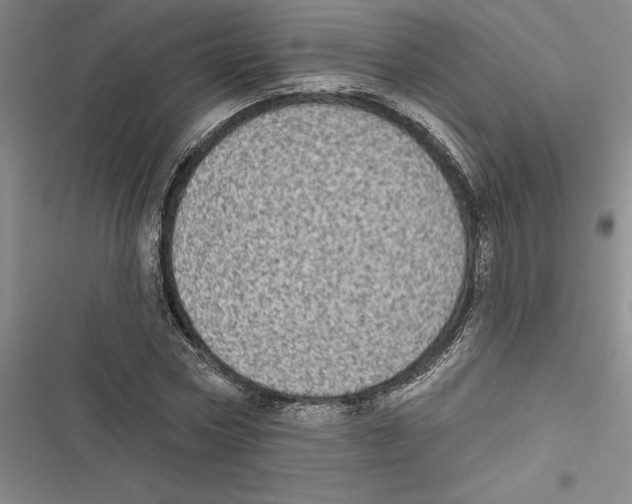 X0000116770778201001141450