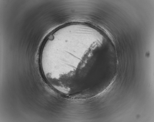 X0000116770779201001141450