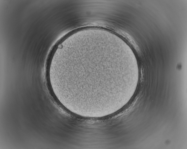 X0000116770780201001141450