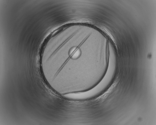 X0000116770781201001141450