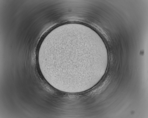 X0000116770782201001141450