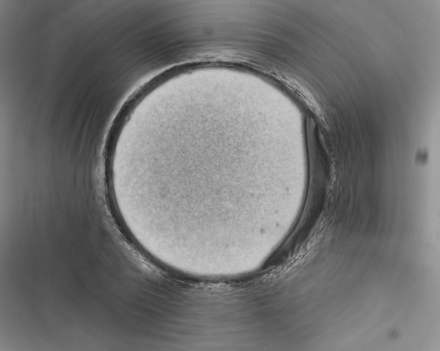 X0000116770784201001141450