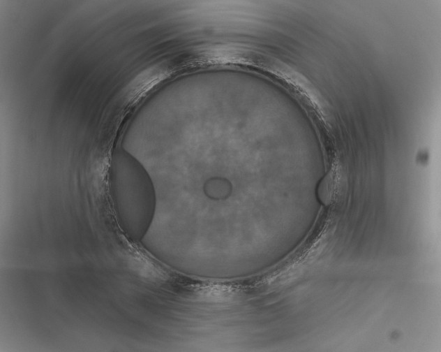 X0000116770785201001141450