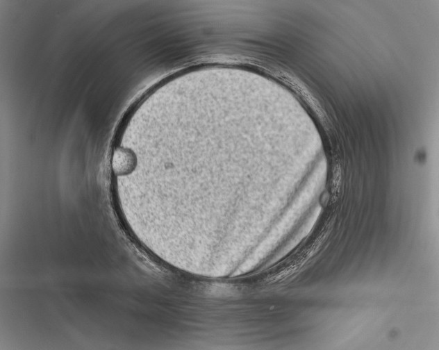 X0000116770787201001141450