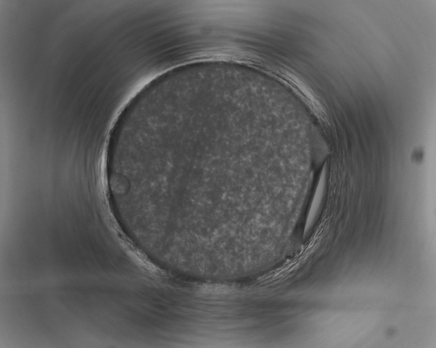 X0000116770788201001141450
