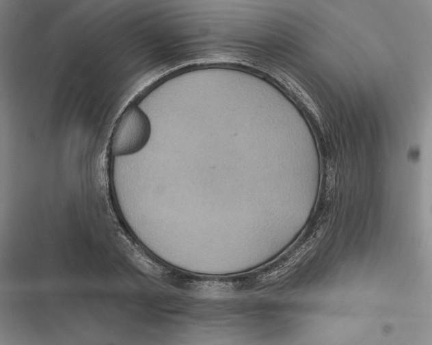 X0000116770789201001141450