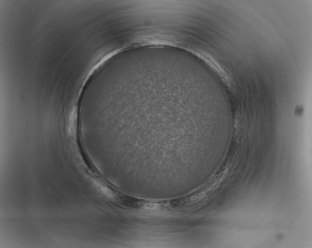 X0000116770790201001141450