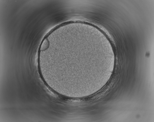 X0000116770791201001141449