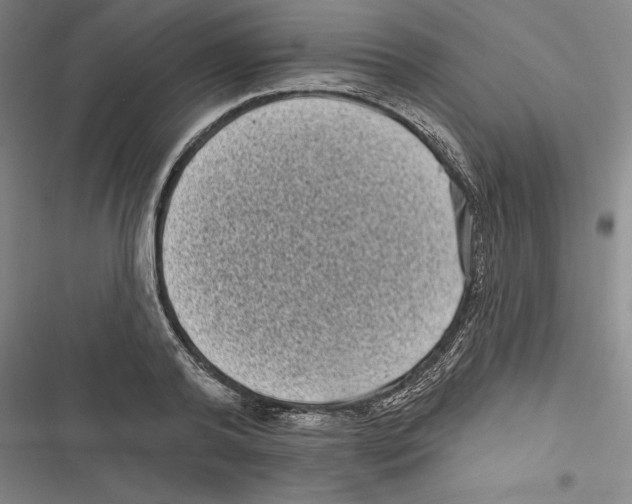 X0000116770792201001141449
