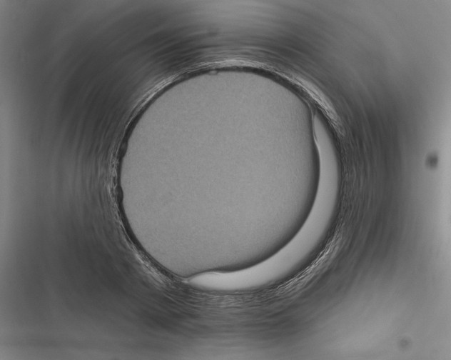 X0000116770793201001141449