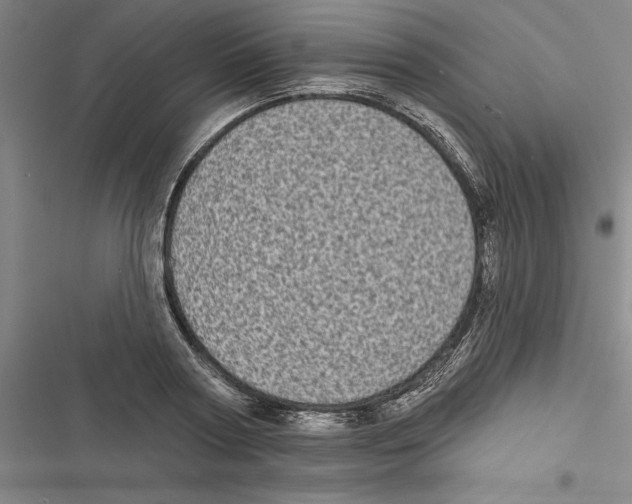 X0000116770794201001141449