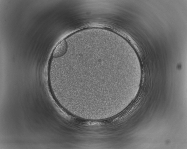 X0000116770795201001141449