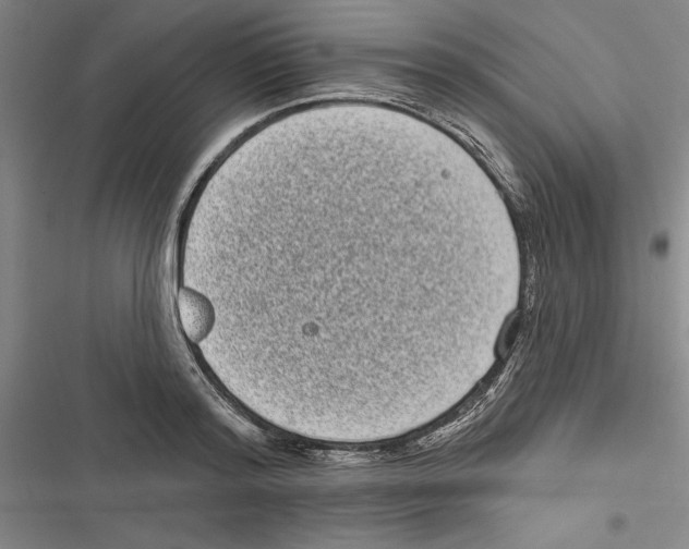 X0000116770796201001141449