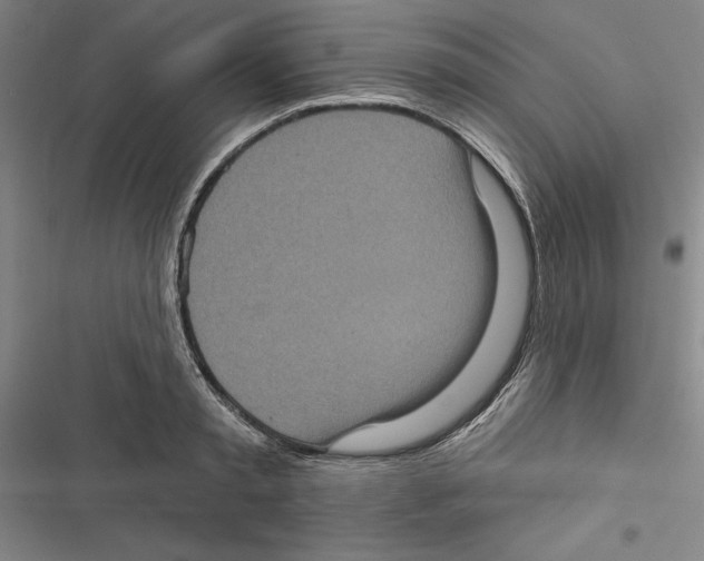 X0000116770797201001141449