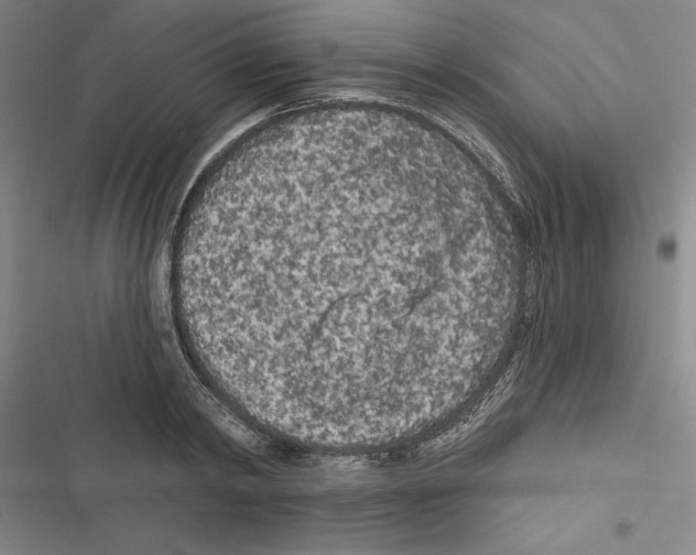 X0000116770798201001141449