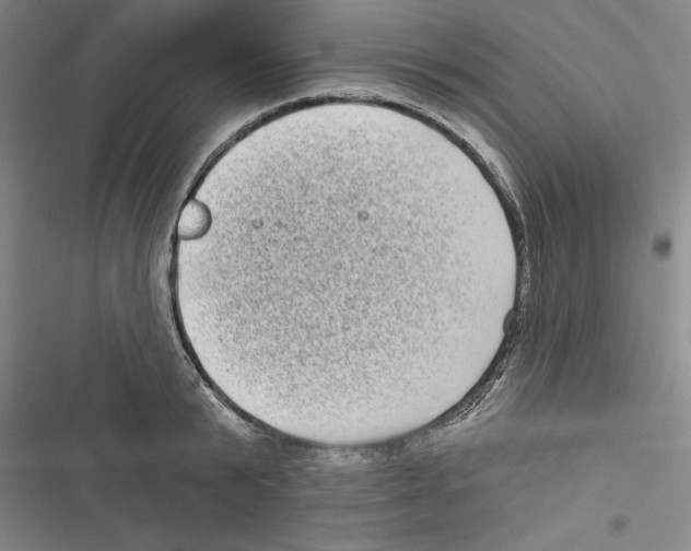 X0000116770799201001141449