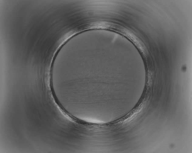 X0000116770802201001141449