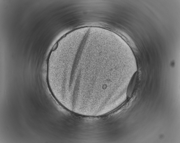 X0000116770804201001141449