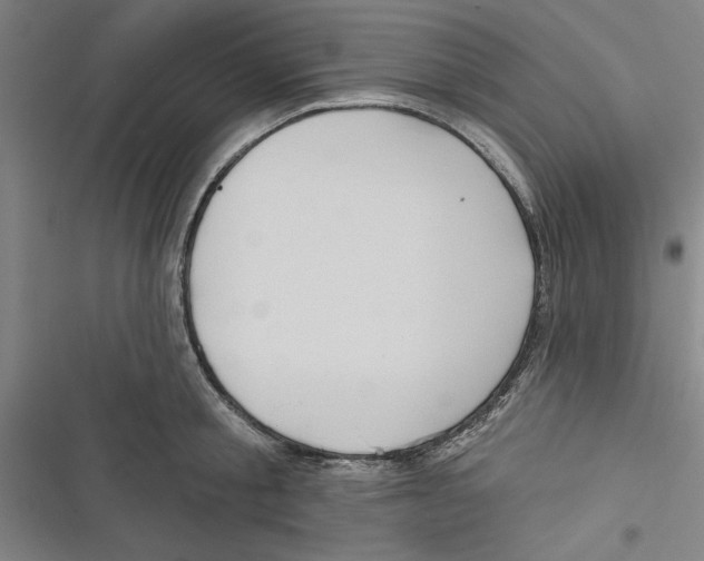 X0000116770805201001141449