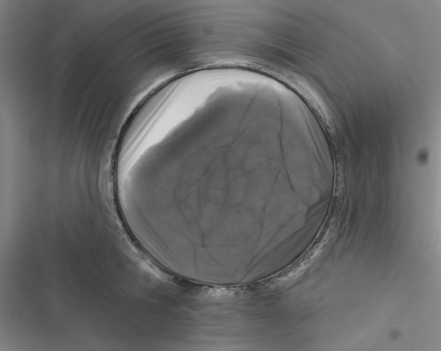 X0000116770806201001141449