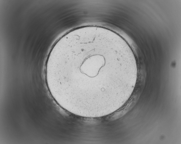 X0000116770807201001141449