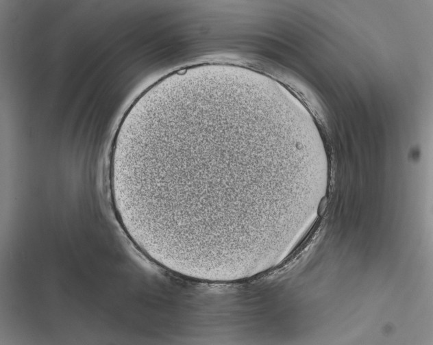X0000116770808201001141449