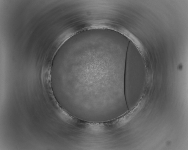 X0000116770809201001141449