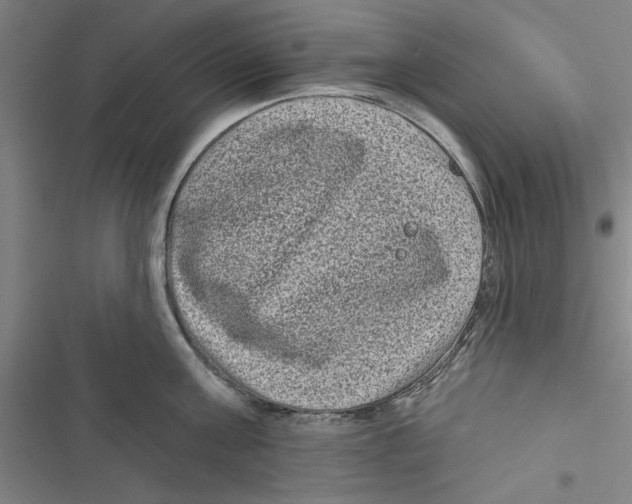 X0000116770811201001141449