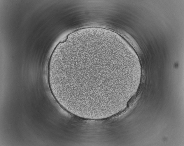 X0000116770812201001141449