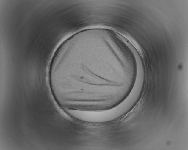 X0000116770813201001141449