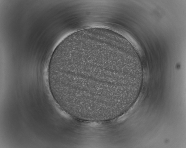 X0000116770814201001141449