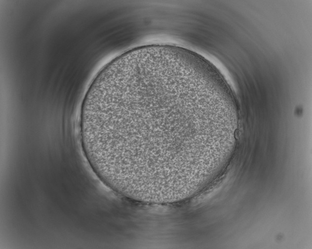X0000116770815201001141449