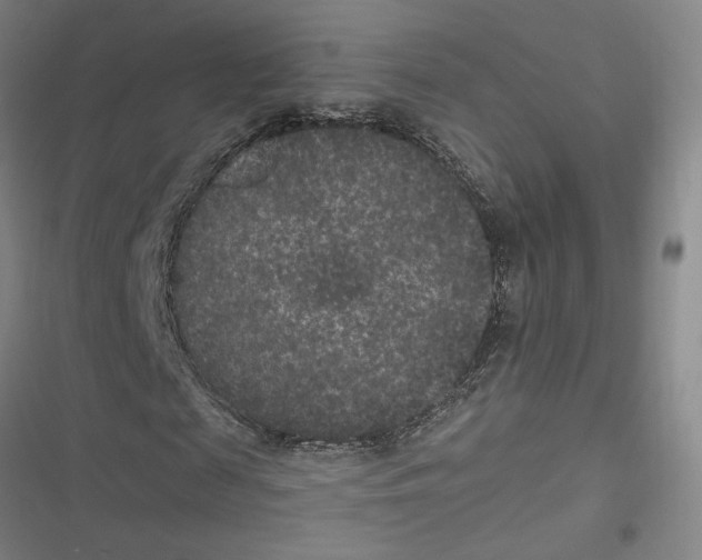 X0000116770817201001141449