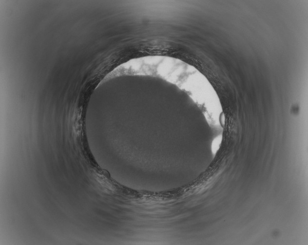 X0000116770818201001141449