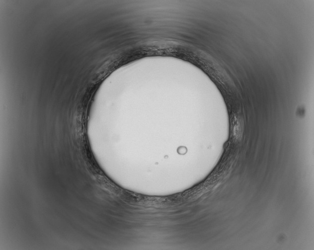 X0000116770819201001141449