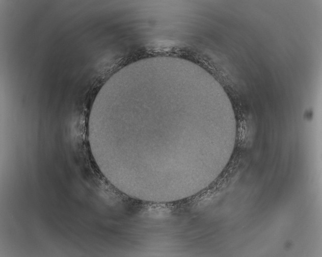 X0000116770820201001141449
