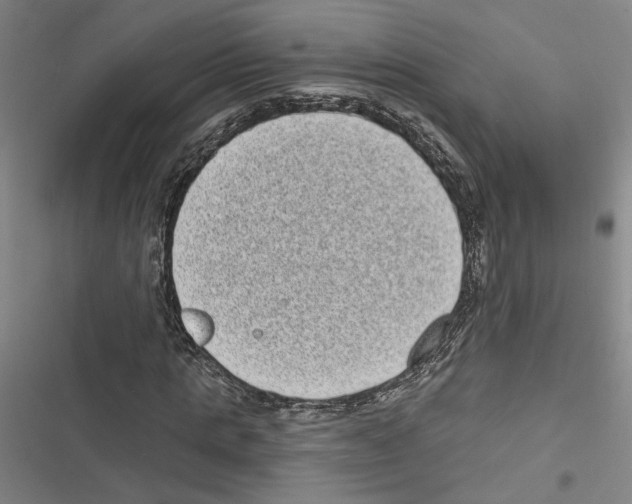 X0000116770821201001141449