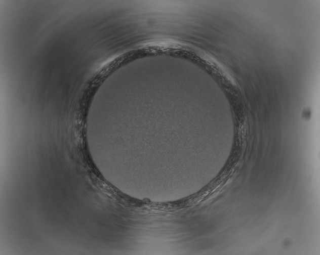 X0000116770822201001141449