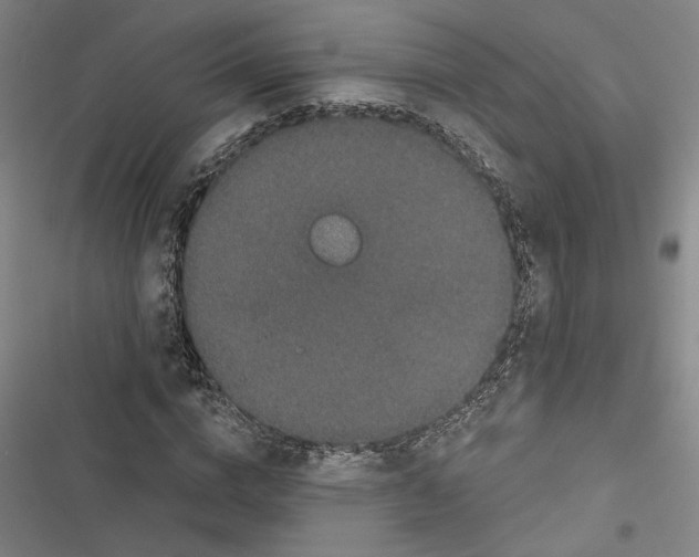 X0000116770824201001141449
