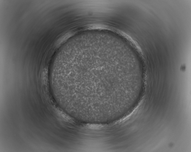 X0000116770825201001141449