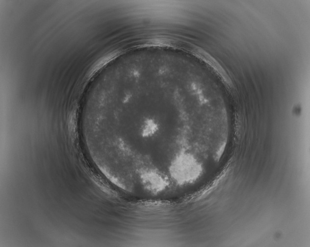 X0000116770826201001141449