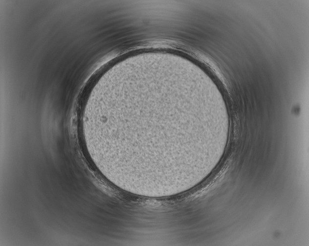 X0000116770827201001141449
