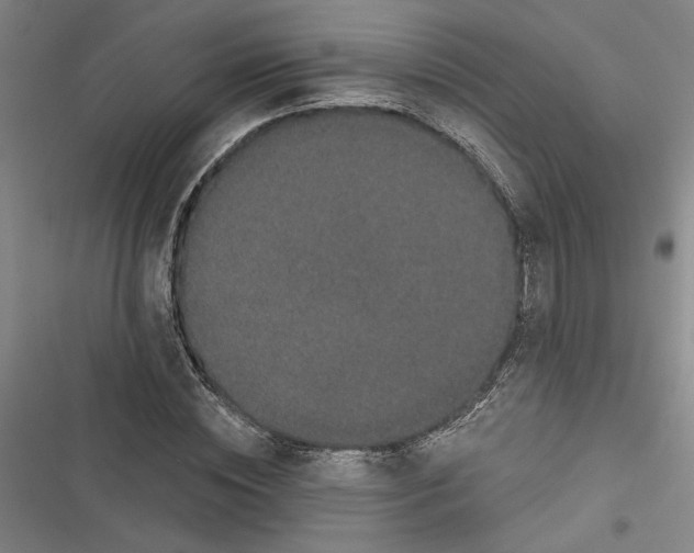 X0000116770828201001141449