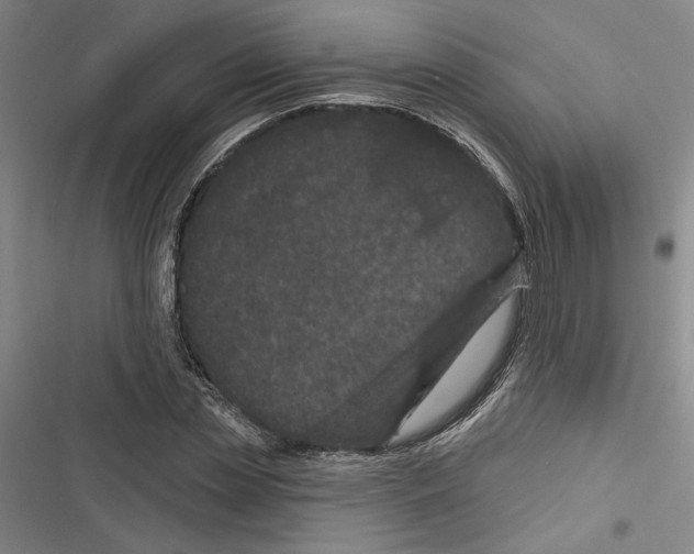 X0000116770829201001141449