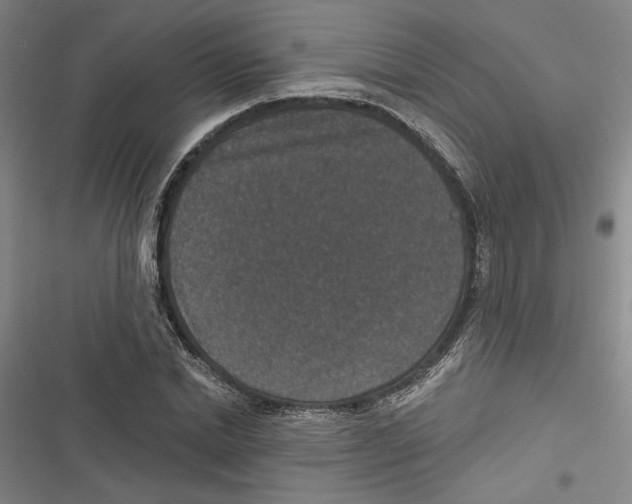X0000116770830201001141449