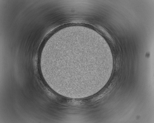 X0000116770831201001141449