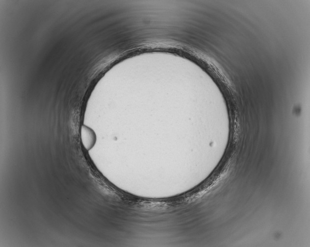 X0000116770833201001141449