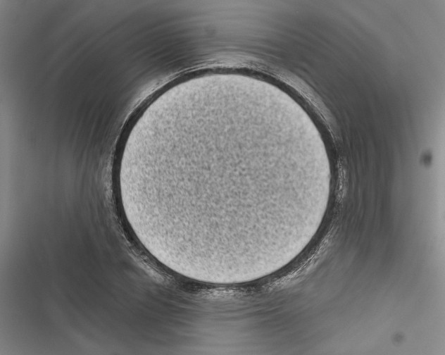 X0000116770834201001141449
