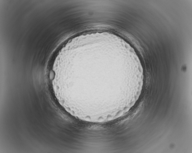 X0000116770835201001141449