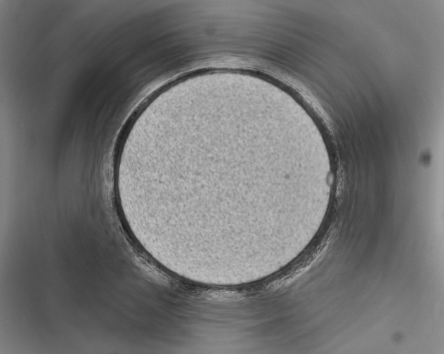 X0000116770837201001141449